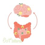 Influencia de la microbiota en el bienestar mental