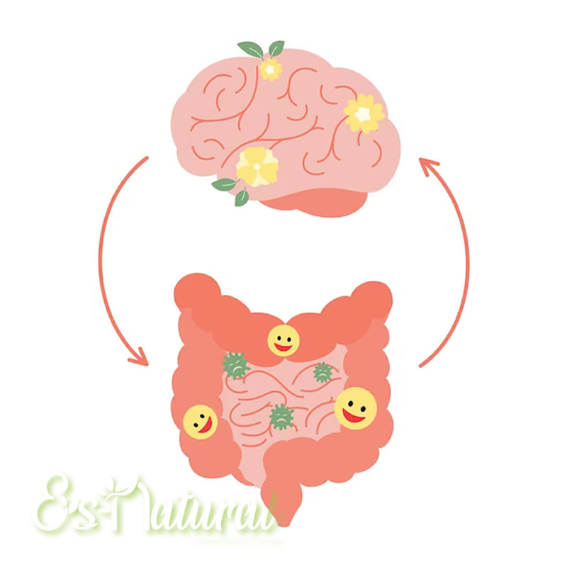 Influencia de la microbiota en el bienestar mental