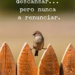 Inspírate con las memorables palabras de Keanu Reeves