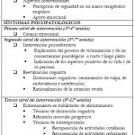 Intervención Terapéutica en Casos de Abuso Sexual