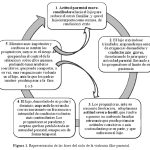 La compleja dinámica de la violencia filio-parental