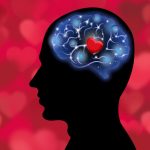 La conexión cerebral gracias a la honestidad en las relaciones