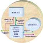 La Esencia Transformadora de la Psicología Humanista