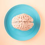 La neuroquímica del cerebro sano y equilibrado