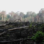 La Paradoja del Individualismo: La Tragedia de los Comunes