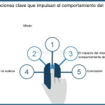 La sorprendente ciencia detrás de la teoría del feedback facial