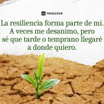 Lecciones de resiliencia en frases inspiradoras