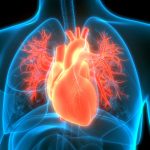 Lo que realmente hiere el corazón humano