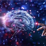 Los Misterios del Cerebro Humano a Profundidad