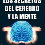 Los secretos fascinantes de la corteza cerebral