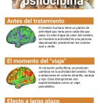 Los sorprendentes beneficios de la psilocibina en la salud mental