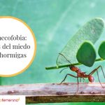 Miedo a las hormigas: causas y cómo superarlo