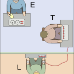 Milgram: Crímenes de Obediencia y el Poder de la Autoridad