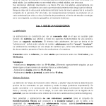 Misterios de la Adolescencia Tardía: Etapa de Transición Vital