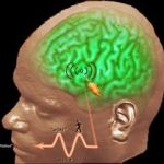 Misterios de la Corteza Motora del Cerebro Revelados