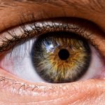 Misterios de las Personas con Ojos Verdes