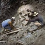 Misterios de los cuerpos mamilares desvelados