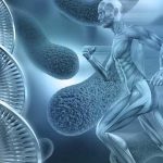 Misterios Fascinantes del Cuerpo Humano
