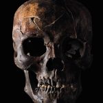 Misterios y Revelaciones en la Antropología Moderna