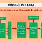 Modelos Atenuados de Filtro Rígido