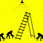 Monos plátanos y escaleras: el experimento sorprendente
