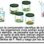 Origen y desarrollo de la teoría de la biogénesis