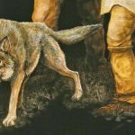 Orígenes prehistóricos de la domesticación canina