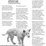 Perro Extraña: Sentimientos de un Amigo Fiel