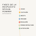 Perspectivas alternativas al coitocentrismo en la sexualidad