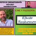 Perspectivas Cruzadas: El Impacto del Efecto Rashomon