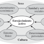Perspectivas de la Psicología en el Proceso de Envejecimiento