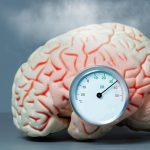 Problemas vasculares aceleran el envejecimiento cerebral