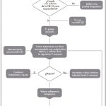 Proceso de Desintoxicación de Benzodiacepinas: Una Guía Optimal