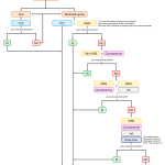 Profundiza en el Trastorno Obsesivo Compulsivo Puro
