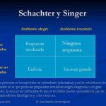 Profundiza en las Teorías sobre la Ansiedad