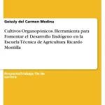 Profundiza en los Fundamentos de la Teoría del Cultivo