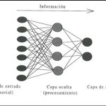 Programabilidad Oculta de la Mente Humana