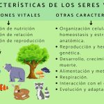Propiedades Esenciales de los Seres Vivos