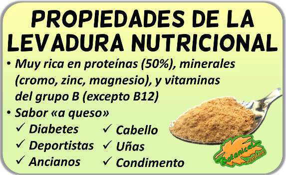 Propiedades y ventajas de la levadura de cerveza