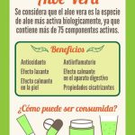 Propiedades y ventajas del aloe vera
