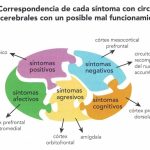 Rasgos Únicos de los Trastornos Psicóticos