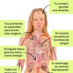Reacciones del cuerpo ante el estrés