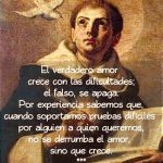 Reflexiones Inspiradoras de Santo Tomás de Aquino