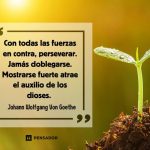 Reflexiones Inspiradoras sobre la Perseverancia y el Esfuerzo