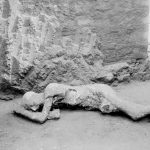Revelaciones del Pasado Humano a Través de la Arqueogenética