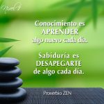 Sabiduría y serenidad en palabras Zen