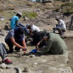 Secretos de la Arqueología Cognitiva: Un Viaje Mental Fascinante