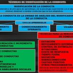 Secretos del Moldeamiento: Técnicas y Beneficios Revelados
