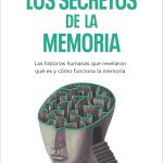 Secretos fascinantes del cerebelo revelados
