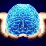 Secretos fascinantes del cerebro humano